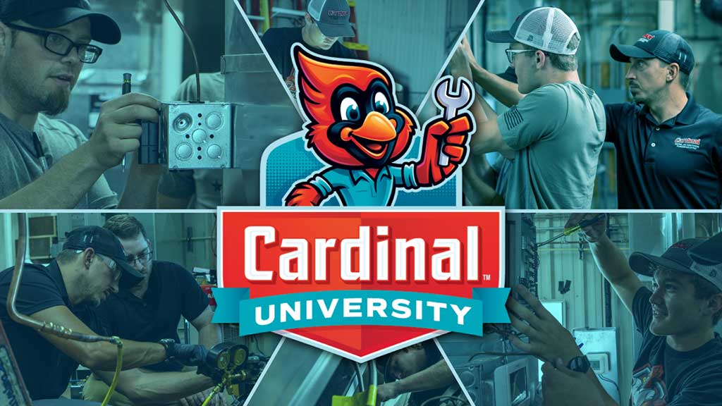 Cardinal-U-thumbnail